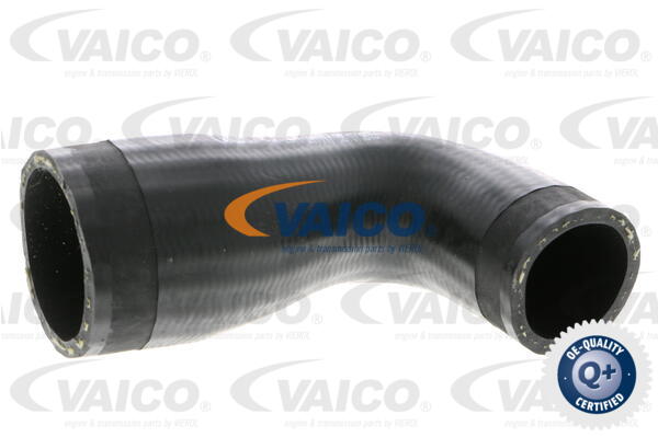 Gaine de suralimentation VAICO V10-2911