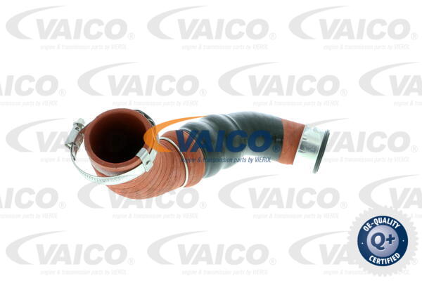 Gaine de suralimentation VAICO V10-2919