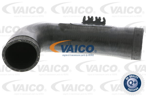 Gaine de suralimentation VAICO V10-3771