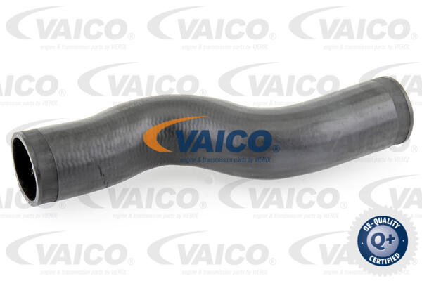 Gaine de suralimentation VAICO V10-3776