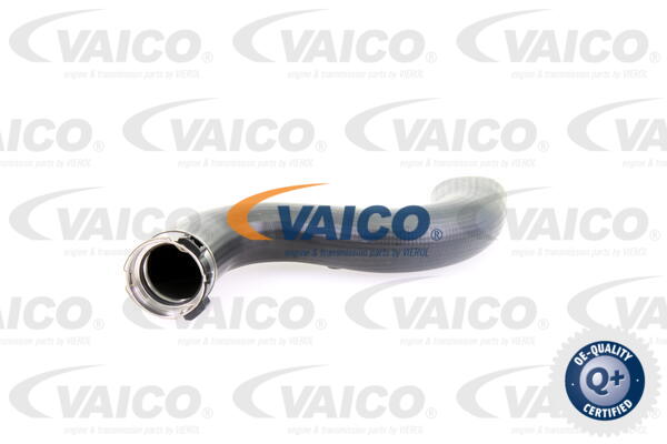 Gaine de suralimentation VAICO V10-3778