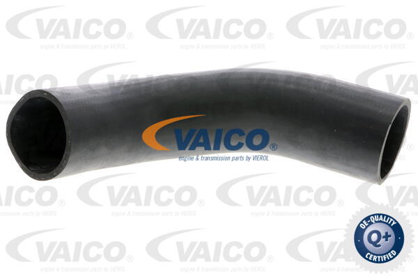 Gaine de suralimentation VAICO V10-3779