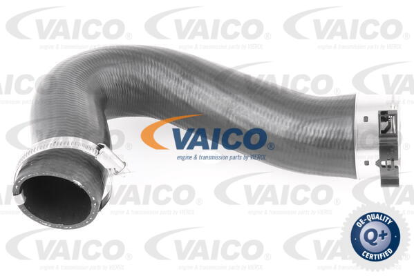 Gaine de suralimentation VAICO V10-3782