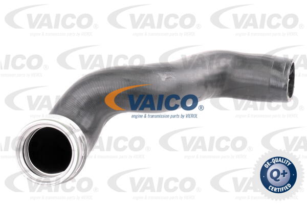 Gaine de suralimentation VAICO V10-3786