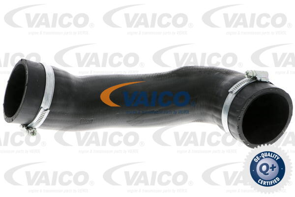 Gaine de suralimentation VAICO V10-3805