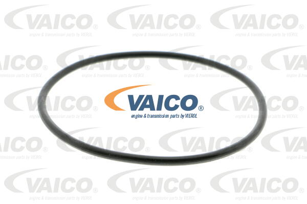 Pompe à eau VAICO V10-50072