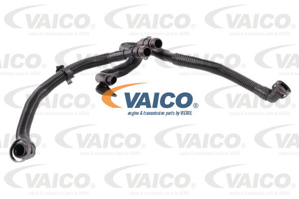 Tuyau de ventilation de carter-moteur VAICO V10-5458