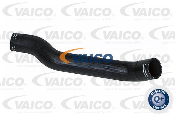 Gaine de suralimentation VAICO V24-0682