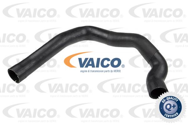 Gaine de suralimentation VAICO V24-0684