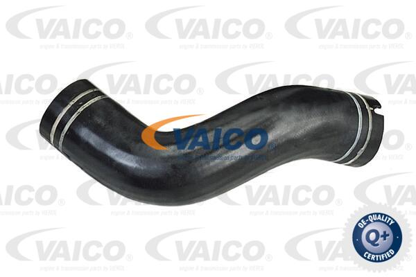 Gaine de suralimentation VAICO V24-0695