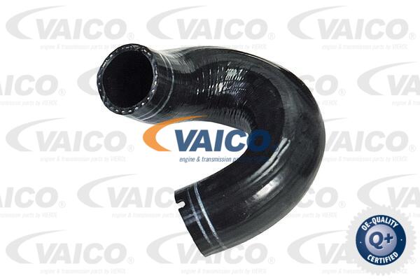 Gaine de suralimentation VAICO V24-0702