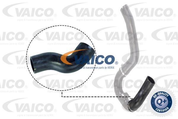 Gaine de suralimentation VAICO V24-0711