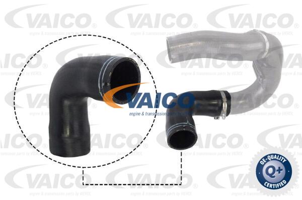 Gaine de suralimentation VAICO V24-0716