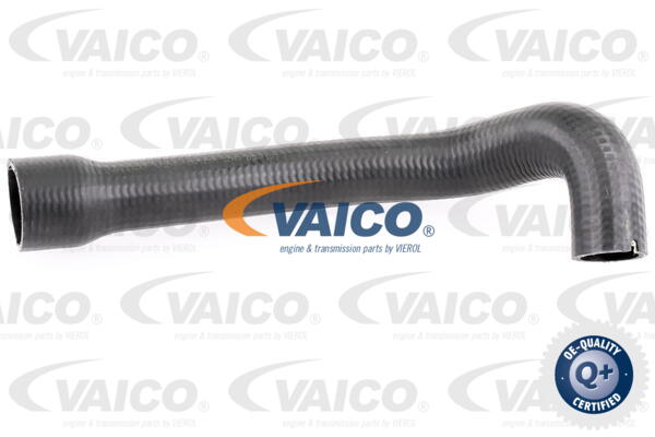 Gaine de suralimentation VAICO V24-0719