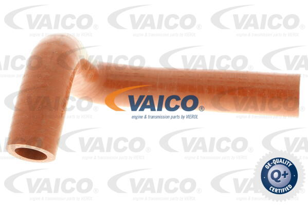 Gaine de suralimentation VAICO V24-0736