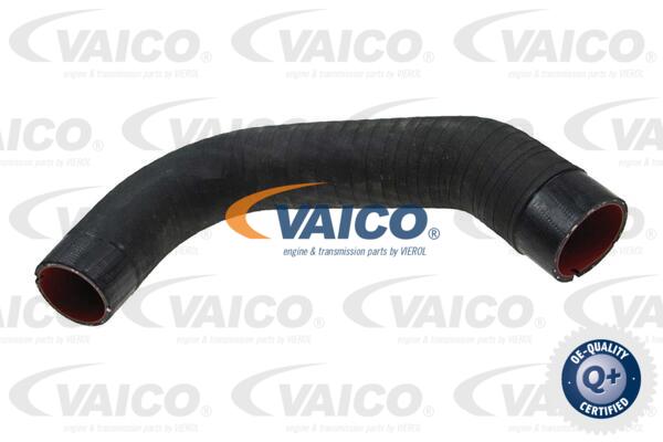 Gaine de suralimentation VAICO V24-0740