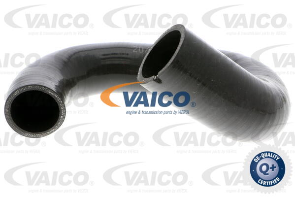 Gaine de suralimentation VAICO V24-0769