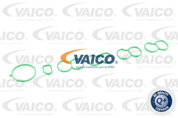 Module de tube d'admission VAICO V24-0990