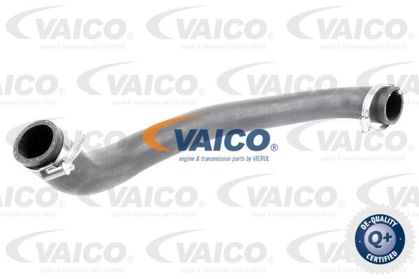 Gaine de suralimentation VAICO V25-0993