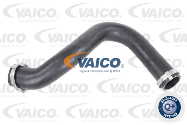 Gaine de suralimentation VAICO V25-1021