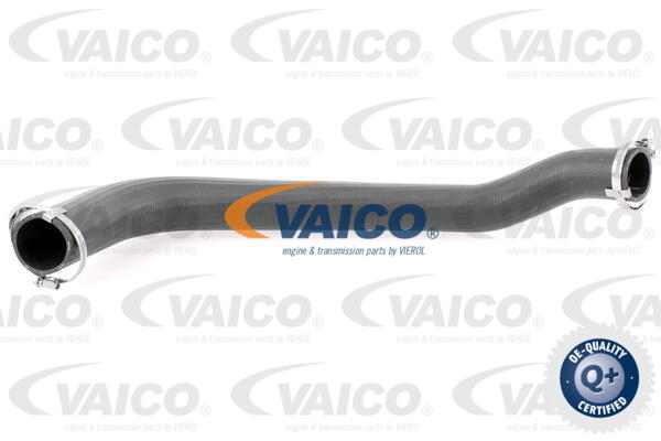 Gaine de suralimentation VAICO V25-1025