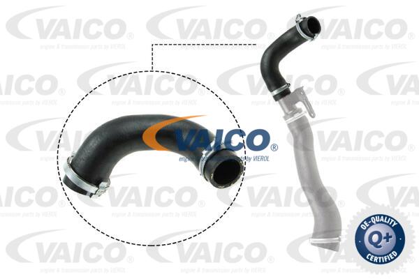 Gaine de suralimentation VAICO V25-1026