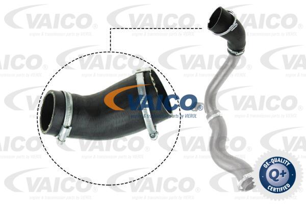 Gaine de suralimentation VAICO V25-1029