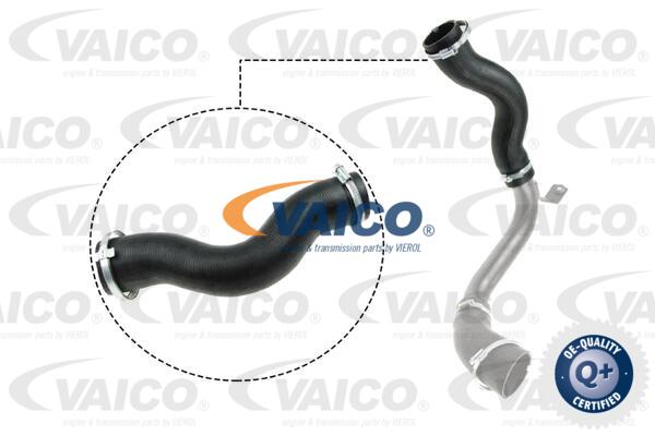 Gaine de suralimentation VAICO V25-1030