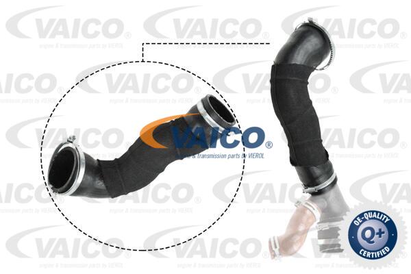 Gaine de suralimentation VAICO V25-1033