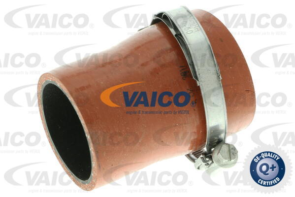 Gaine de suralimentation VAICO V25-1035