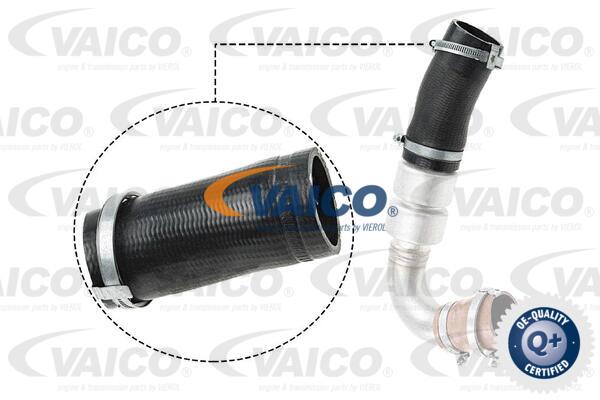 Gaine de suralimentation VAICO V25-1036