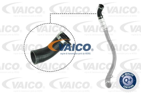 Gaine de suralimentation VAICO V25-1037