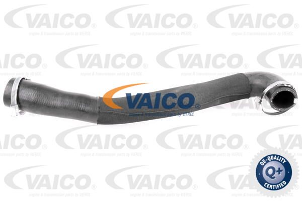 Gaine de suralimentation VAICO V25-1043