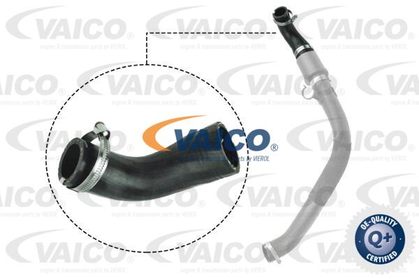 Gaine de suralimentation VAICO V25-1044