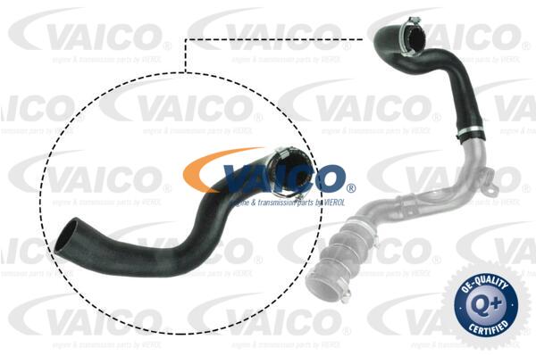 Gaine de suralimentation VAICO V25-1053