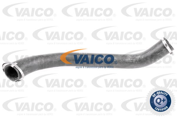 Gaine de suralimentation VAICO V25-1055