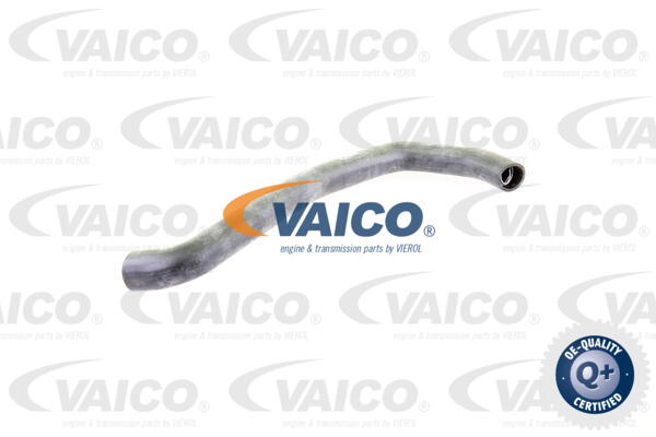 Durite de refroidissement VAICO V30-0705