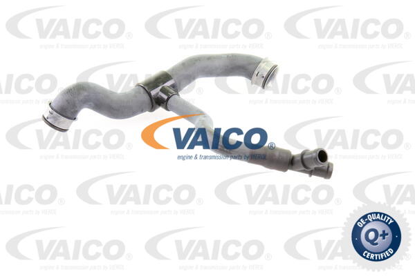 Durite de refroidissement VAICO V30-2231