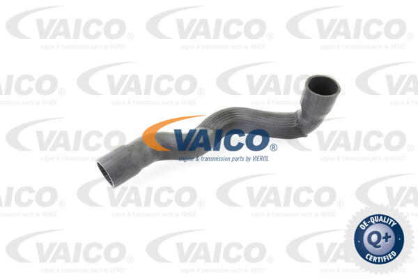 Gaine de suralimentation VAICO V30-2249