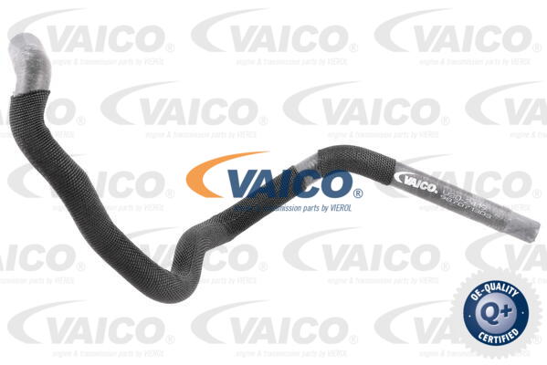 Durite de refroidissement VAICO V30-2419