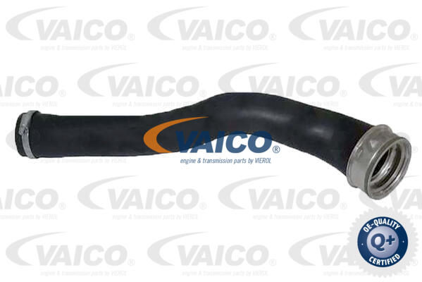 Gaine de suralimentation VAICO V33-0038