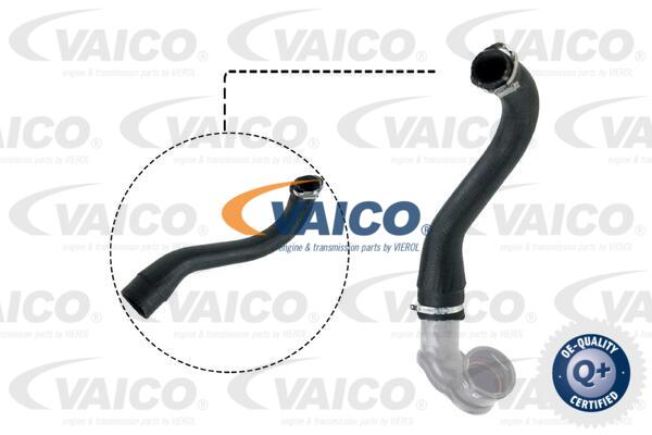 Gaine de suralimentation VAICO V40-1498