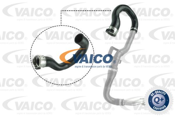 Gaine de suralimentation VAICO V40-1516