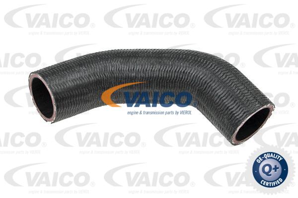 Gaine de suralimentation VAICO V41-0003