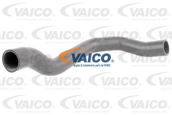 Gaine de suralimentation VAICO V42-0566