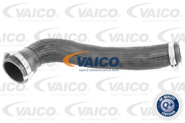 Gaine de suralimentation VAICO V42-0568