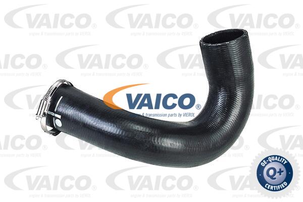 Gaine de suralimentation VAICO V42-0571