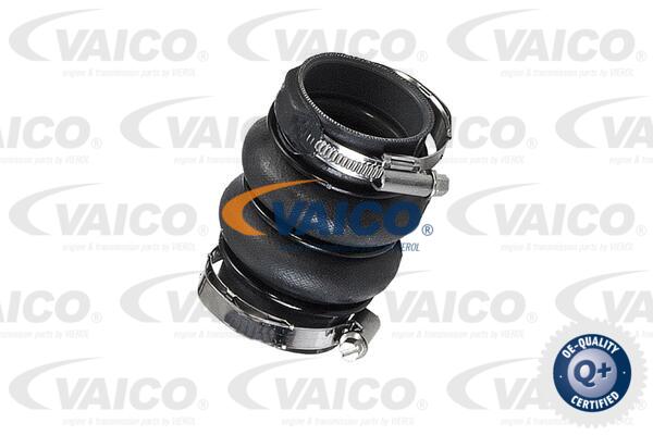 Gaine de suralimentation VAICO V42-0575