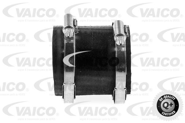 Gaine de suralimentation VAICO V42-0580