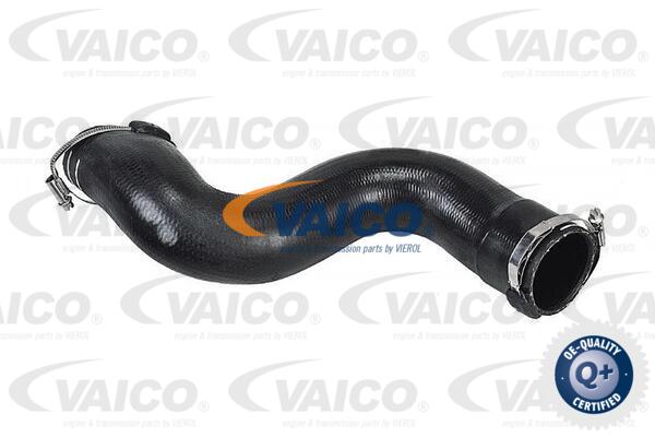 Gaine de suralimentation VAICO V42-0582